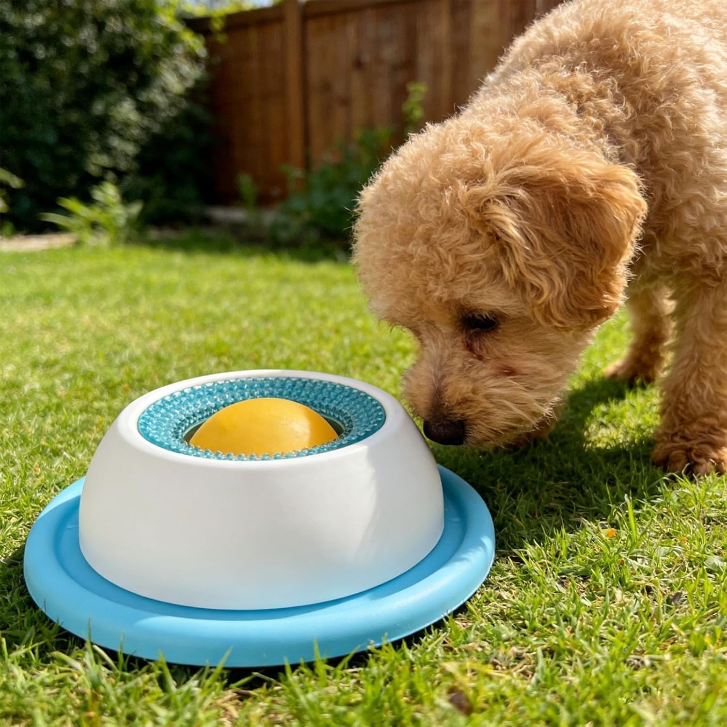 Dog Licking Bowl, Dog Lick Ball, Interactive Slow Feeder & Anxiety Relief Treat Dispenser with Non-Slip Base for Puppy Kitten Mental Stimulation.